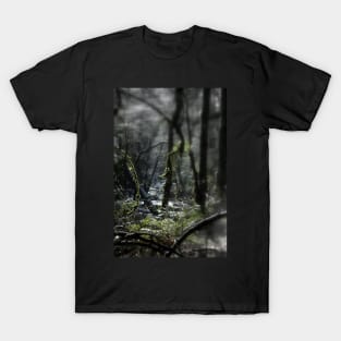 snowy Oregon forest, Fox Creek T-Shirt